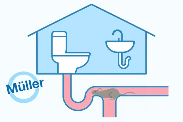 Illustration: Fremdkörper verstopft das Abflussrohr eines Hauses